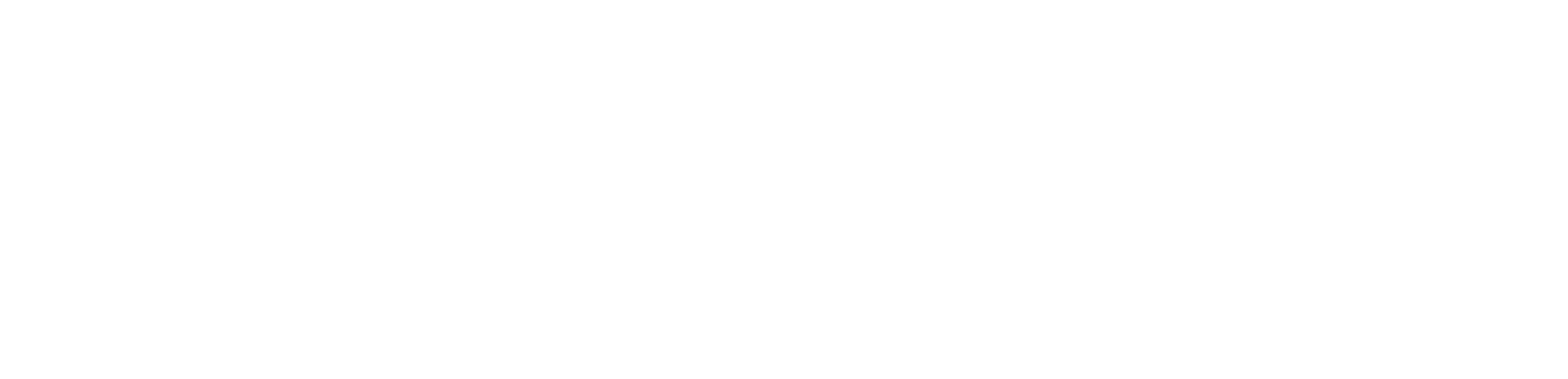 TruBlink Logo